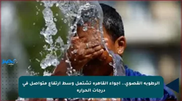 الرطوبة القصوى.. أجواء القاهرة تشتعل وسط ارتفاع متواصل في درجات الحرارة
